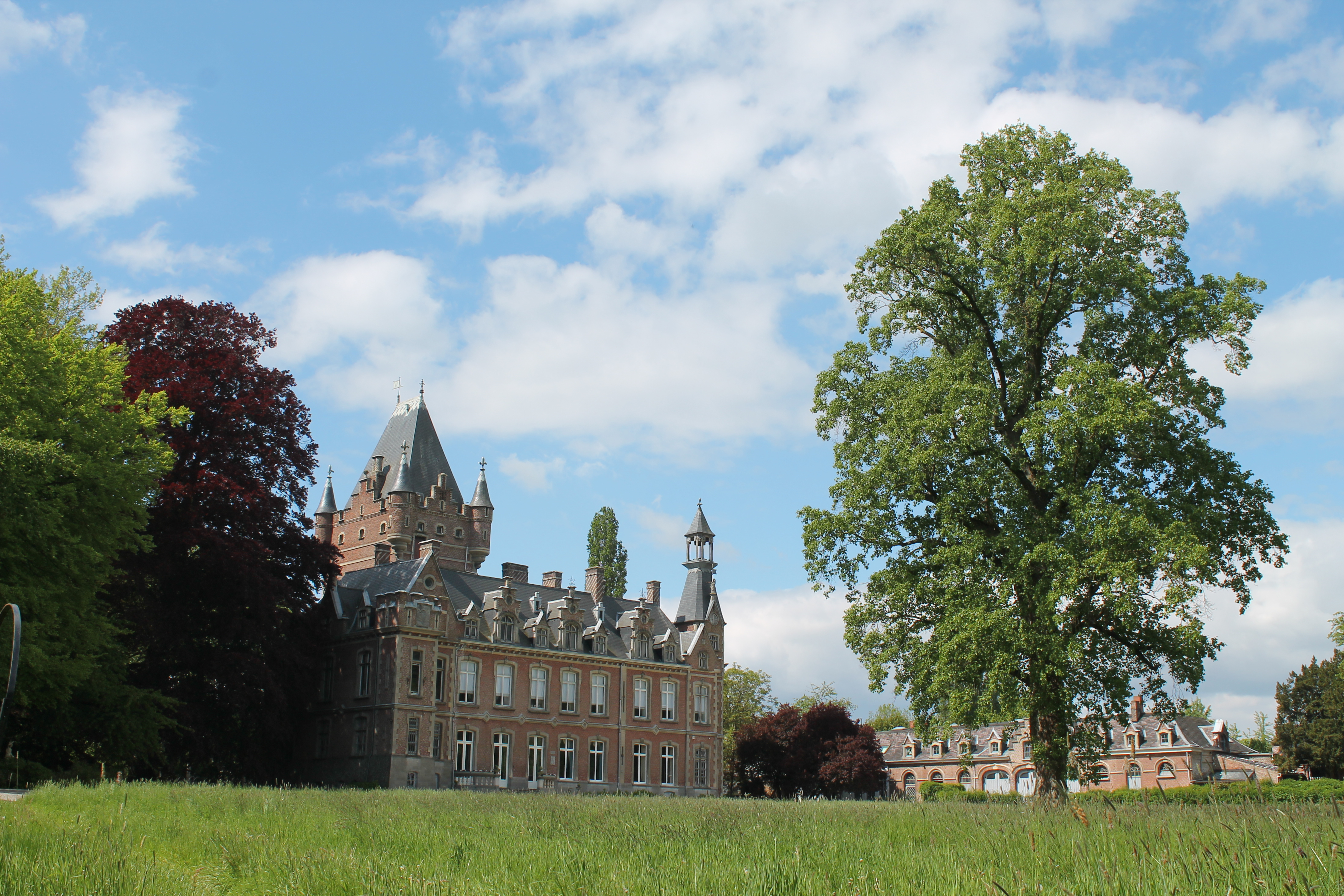 Le chateau depuis la roseraie